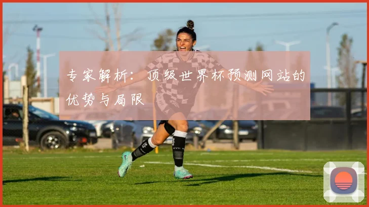 专家解析:顶级世界杯预测网站的优势与局限