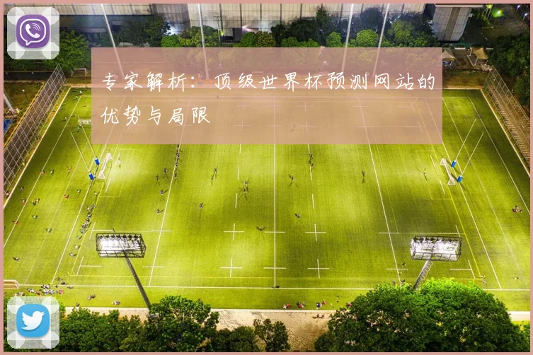 专家解析:顶级世界杯预测网站的优势与局限
